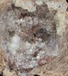 Crystal Filled Dugway Geode (Polished Half) #38861-2